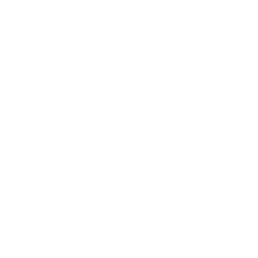 Security Alarms and Cameras